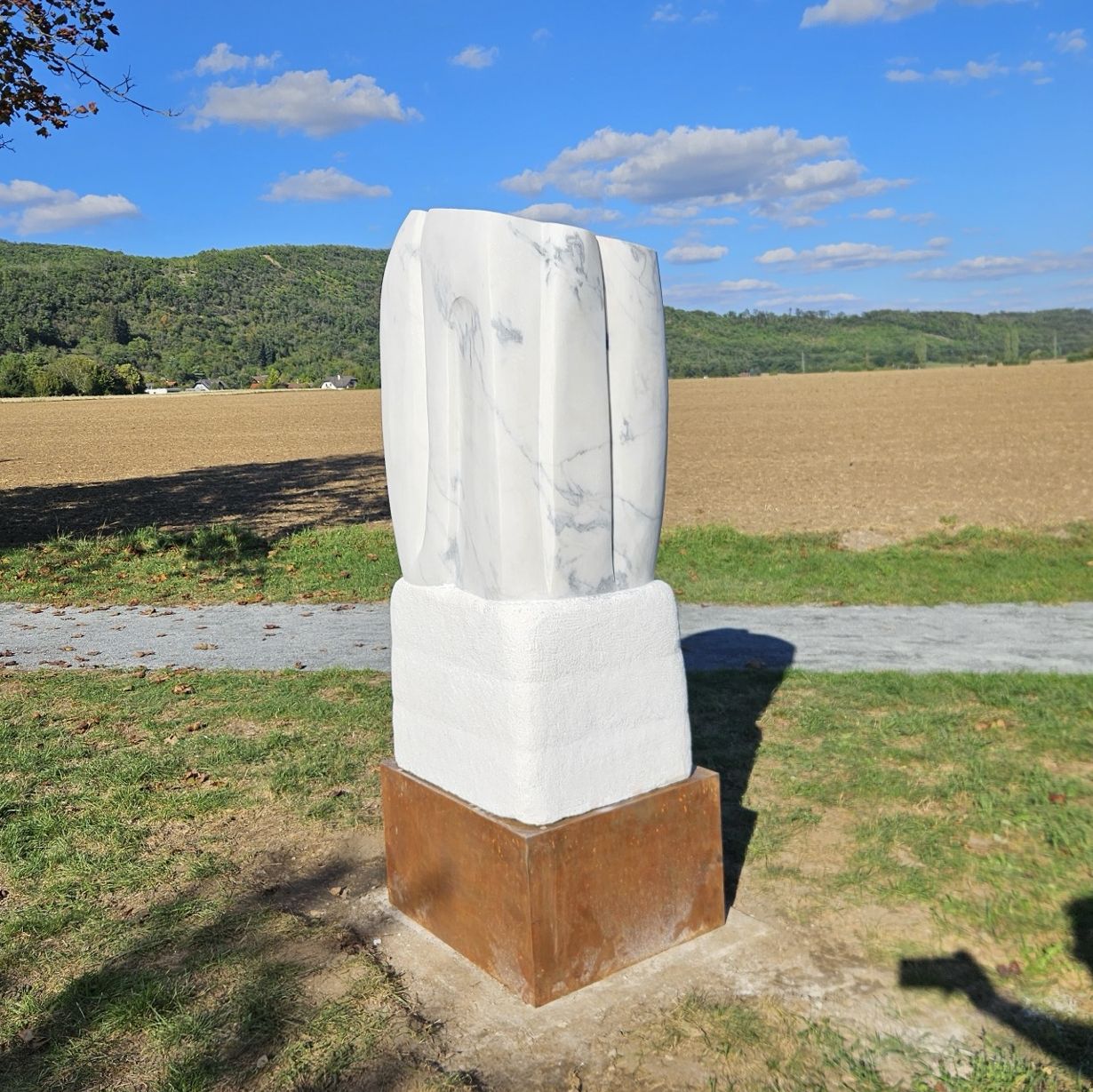 Rostoucí květ