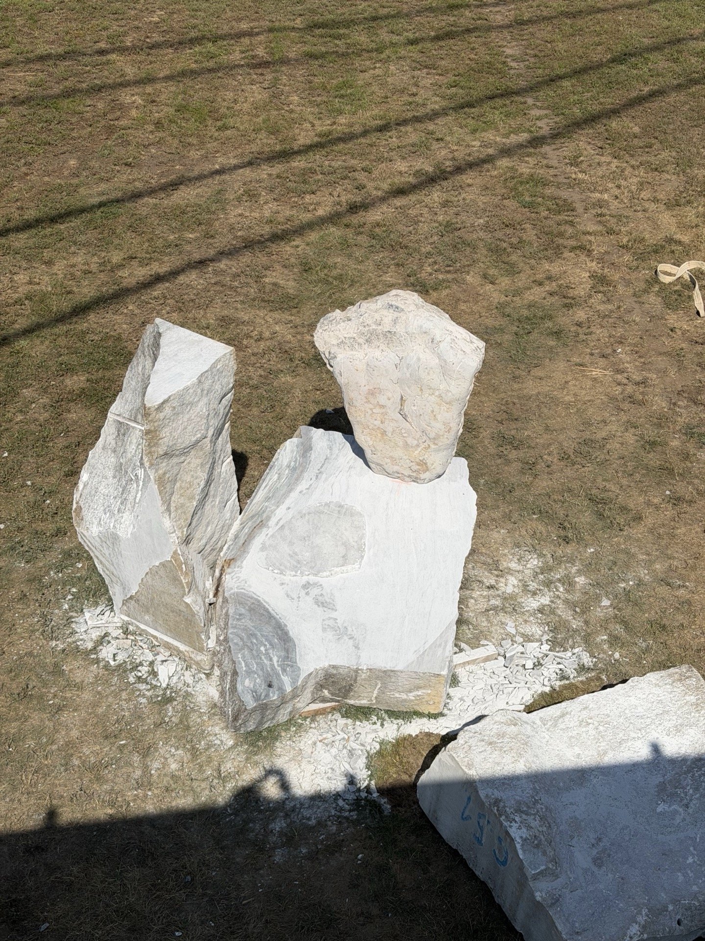 IMG 2723